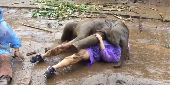 유튜브 영상 캡처. Hannah Frenchick.