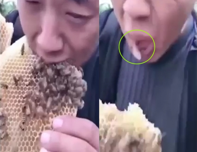 살아 있는 벌들이 있는 벌집을 먹다 벌에 쏘인 남성(유튜브 영상 캡처)