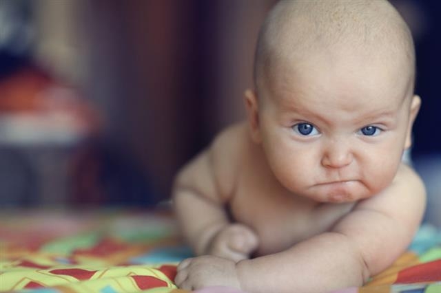 아직 언어 기능이 발달하지 않은 영유아들도 어른들 못지않게 논리적으로 생각한다는 연구 결과가 나왔다. 미국 워싱턴대 제공