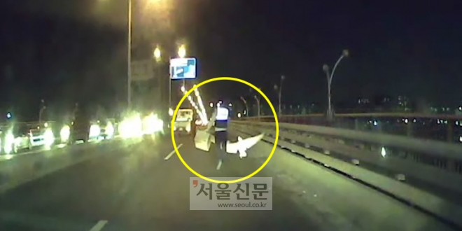 지난달 21일 팔당대교 위에 출동한 경찰이 큰고니를 잡기 위해 뛰어다니고 있다. 
