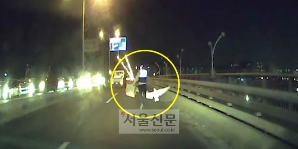 지난달 21일 팔당대교 위에 출동한 경찰이 큰고니를 잡기 위해 뛰어다니고 있다.