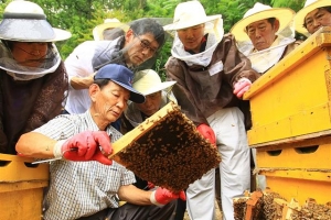 강동 도시양봉학교 개강