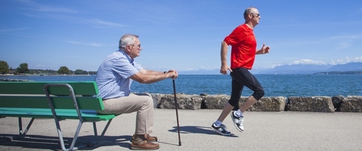 나이들면서 기운이 없고 기력이 쇠한 느낌을 많이 받는 이유는 근육량이 줄어들기 때문이다. 국내 연구진이 노인성 근감소증을 해소할 수 있는 방법을 찾아냈다. 국제골다공증협회 제공