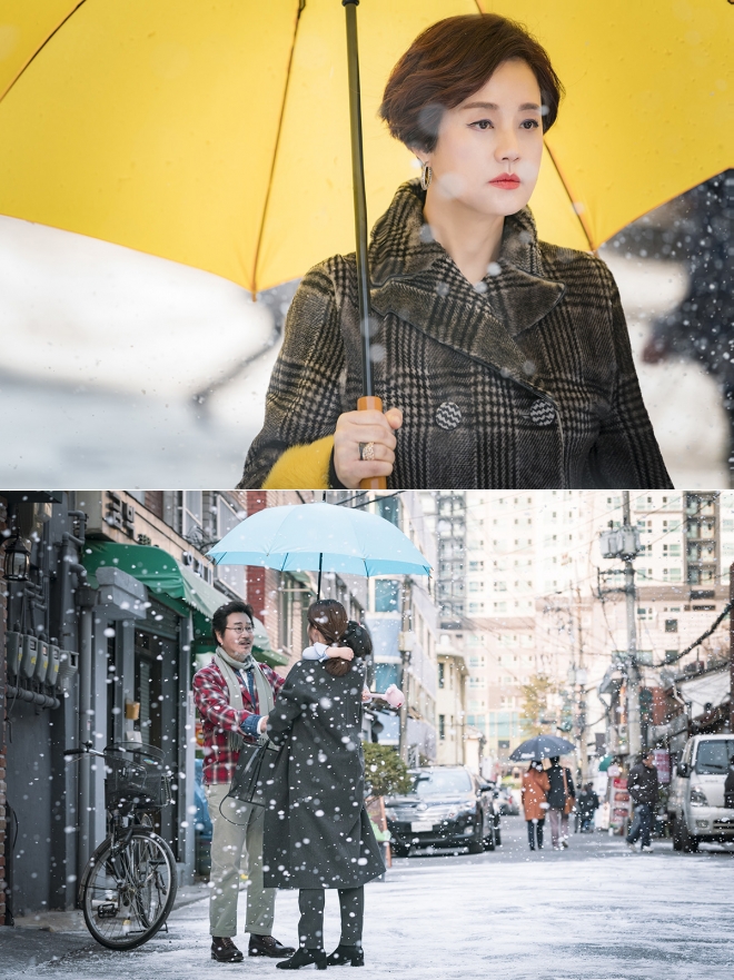 같이 살래요 유동근 장미희