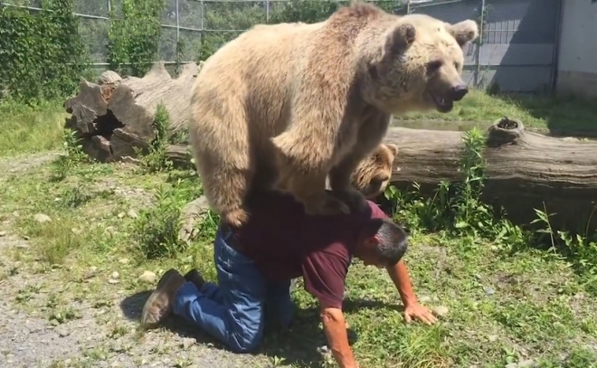 한 남성의 등에 올라탄 시리아곰 모습(유튜브 영상 캡처)