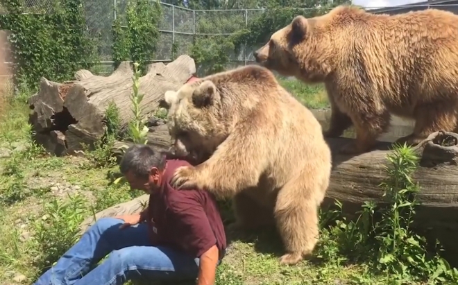한 남성의 등에 올라탄 시리아곰 모습(유튜브 영상 캡처)