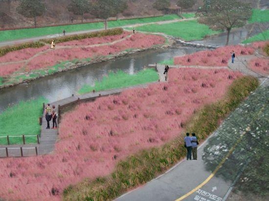 서울 강남구는 구 주도로 국내 생태하천 복원 1호가 된 양재천에 대해 명소화 2기 사업으로 자연성과 경관성을 한층 강화한다고 27일 밝혔다. 양재천 명소화 2기 사업의 핵심인 4000㎡ 규모의 핑크뮬리 정원 조감도. 강남구 제공