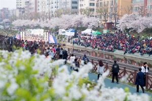 [3구 3색 벚꽃축제] 수상무대 만끽해봐