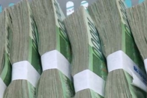 부산서 새마을금고 직원 94억원 불법 대출받아 잠적