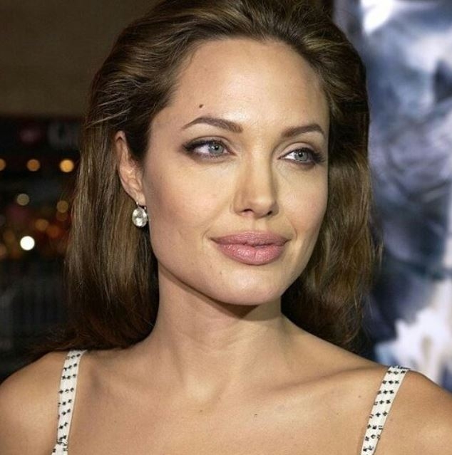 할리우드 배우 안젤리나 졸리