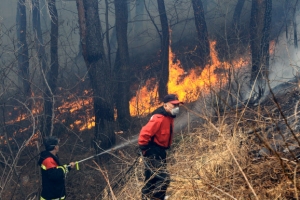 고성 산불 산림 30㏊·주택 2채 소실…헬기 23대 투입 진화 총력