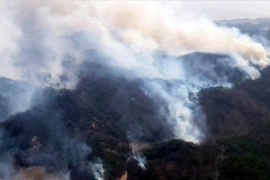 고성 산불 축구장 49배 면적 태워…건물 9동 소실·軍 물자 이동