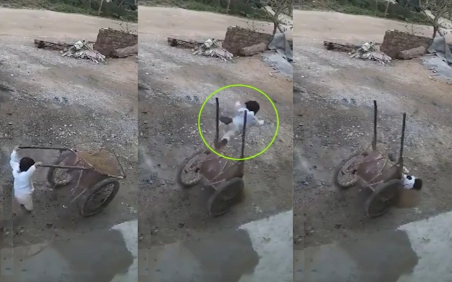 손수레 장난치다 공중으로 날아간 중국 어느 지역의 여아 모습(유튜브 영상 캡처)