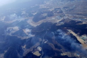 고성 산불 축구장 면적 56배 태워…10시간째 이어져 피해 속출