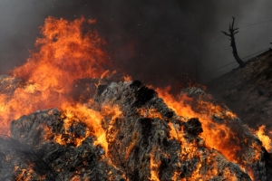 [포토] 강원 고성에 산불…꺼질 줄 모르는 불길