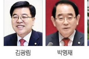 [6·13 선거현장] 경북지사 한국당 경선 ‘현역 3파전’