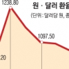 추락하는 환율