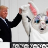 [포토] 트럼프, 백안관서 ‘토끼와 함께 인사’