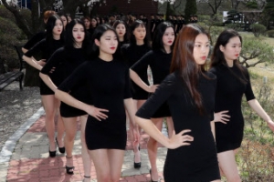 벚꽃 런웨이 화려한 워킹