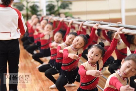 북한이 3일 예술단과 함께 방북한 남측 태권도시범단에게 평양 시내에 있는 만경대학생소년궁전에서 교육받고 있는 북한의 신동들을 공개했다. 체조 신동들이 훈련을 하고 있다.  평양 이호정 기자 hojeong@seoul.co.kr