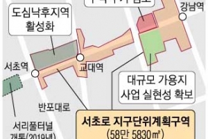 ‘법조 1번지’ 서초대로 용적률·높이 규제 푼다
