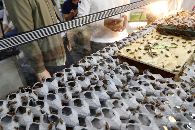 창원 귀뚜라미 사육장 불 (자료 이미지)  연합뉴스