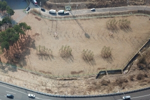 안양시, 삼막인터체인지 교통광장에 반려견 놀이터 신설.