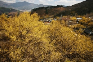 [그 책속 이미지] 꽃의 계절 눈앞에 두고 밥벌이가 뭣이 중헌디