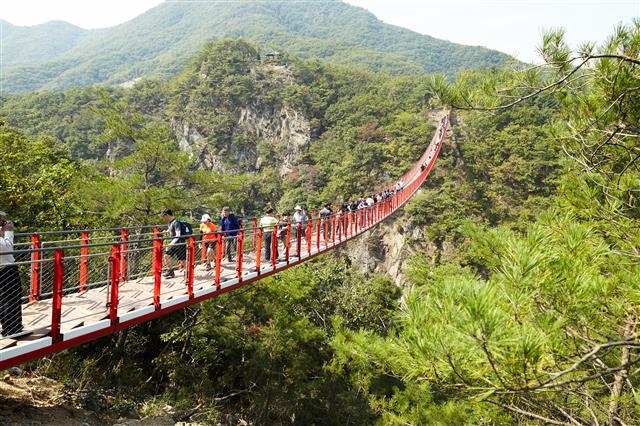 경기 파주시는 9일 출렁다리를 건설한 뒤 관광객이 급증하고 죽었던 주변상권이 활성화되고 있다고 밝혔다. 2011년 태풍 곤파스로 큰 피해를 입으며 관광객이 급감했던 감악산도 출렁다리를 만든 뒤 오히려 태풍 피해 이전보다 찾는 사람이 더 늘었다.　  파주시 제공