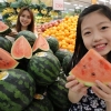 “햇수박 맛보세요”