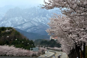 홍천~미시령 120㎞ ‘자동차 올레길’ 조성