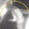 10만원권 수표 위조해 사용한 10대들…모텔서 사용