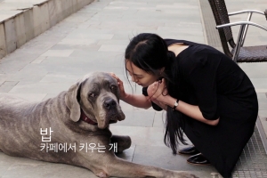 홍상수 감독과 이자벨 위페르, 그리고 김민희…‘클레어의 카메라’ 예고편