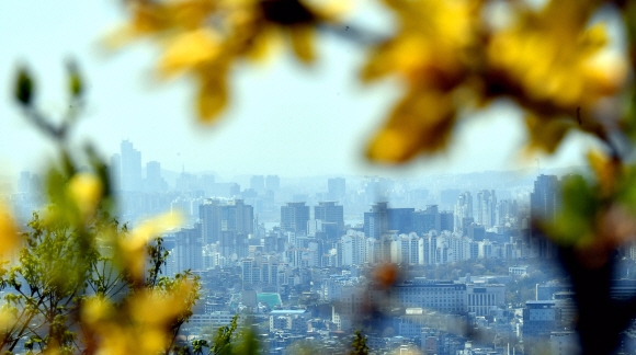 11일 서울 남산에서 봄꽃 너머로 미세먼지로 가득한 서울시내가 보이고 있다.  박지환 기자 popocar@seoul.co.kr