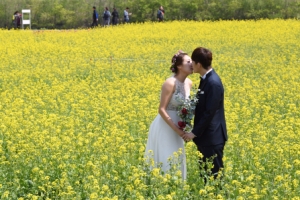 [포토 다큐&뷰] 새하얀 미소, 노오란 손짓, 분홍빛 떨림… 첫사랑 같은 봄날