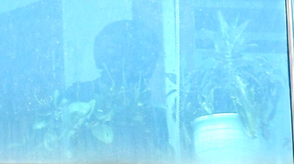 16일 인질극이 발생한 서울 마포구 승희빌딩에서 레펠을 이용해 현장에 진입한 경찰특공대원들이 용의자를 진압하고 있다. 2018.4.16 박지환기자 popocar@seoul.co.kr