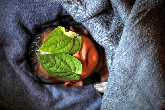 지난해 12월 4일 방글라데시 콕스 바자르 인근 발루칼리 난민촌에서 생후 11개월 된 아기의 시신이 포대에 싸여 있다. 가족은 나뭇잎으로 아기의 얼굴을 가렸다. 로힝야 난민의 처참한 현실을 담은 로이터통신의 사진들은 퓰리처상 특집사진 부문 수상작으로 선정됐다. 콕스 바자르 로이터 연합뉴스