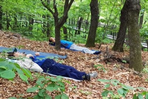 홀몸 어르신과 숲속 힐링 떠나는 노원