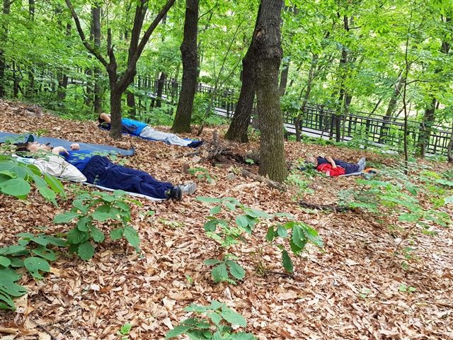 지난해 서울 노원구에 있는 숲속에서 어르신들이 산림치유프로그램의 하나로 낙엽 위에 누워 명상하고 있다.  노원구 제공