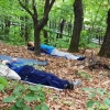 홀몸 어르신과 숲속 힐링 떠나는 노원