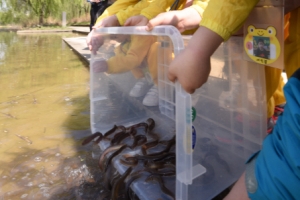 “미꾸라지야, 샛강을 부탁해”