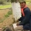 전생에 말이었을까? 돼지 타고 가는 中 노인