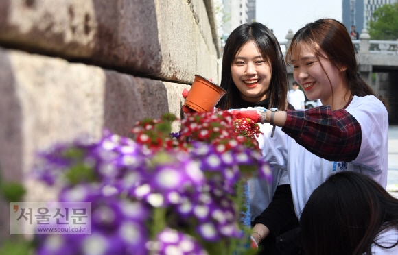 “청계천 꽃길만 걷게 해 줄게”