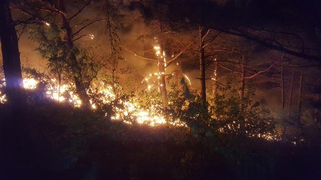 19일 오후 7시40분쯤 양양군 현남면 정자리의 한 야산에서 산불이 발생해 불길이 번지고 있다.  산림당국에 따르면 바람이 강하게 불고 있어 진화하는데 어려움을 겪고 있는 것으로 알려졌다.  동부지방산림청 제공=뉴스1