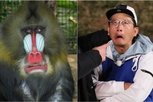 ‘1박2일’ 김준호, 개코원숭이 완벽 변신 ‘분장 없이 가능?’