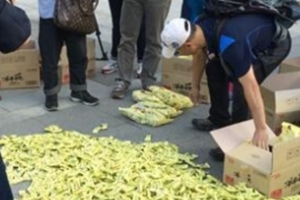 삼성, 세월호 조롱 ‘폭식 집회’ 지원 의혹