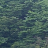 자산 늘고 부채 줄고…경기도 재정 건전성 좋아졌다