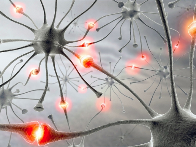 국내 연구진이 기억과 학습에 관여하는 새로운 신경회로와 메커니즘을 발견했다.  미국 국립보건원(NIH) 제공