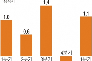 1분기 성장률 1.1%