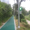 [온라인]강남구, 도로 위 미세먼지 잡는다